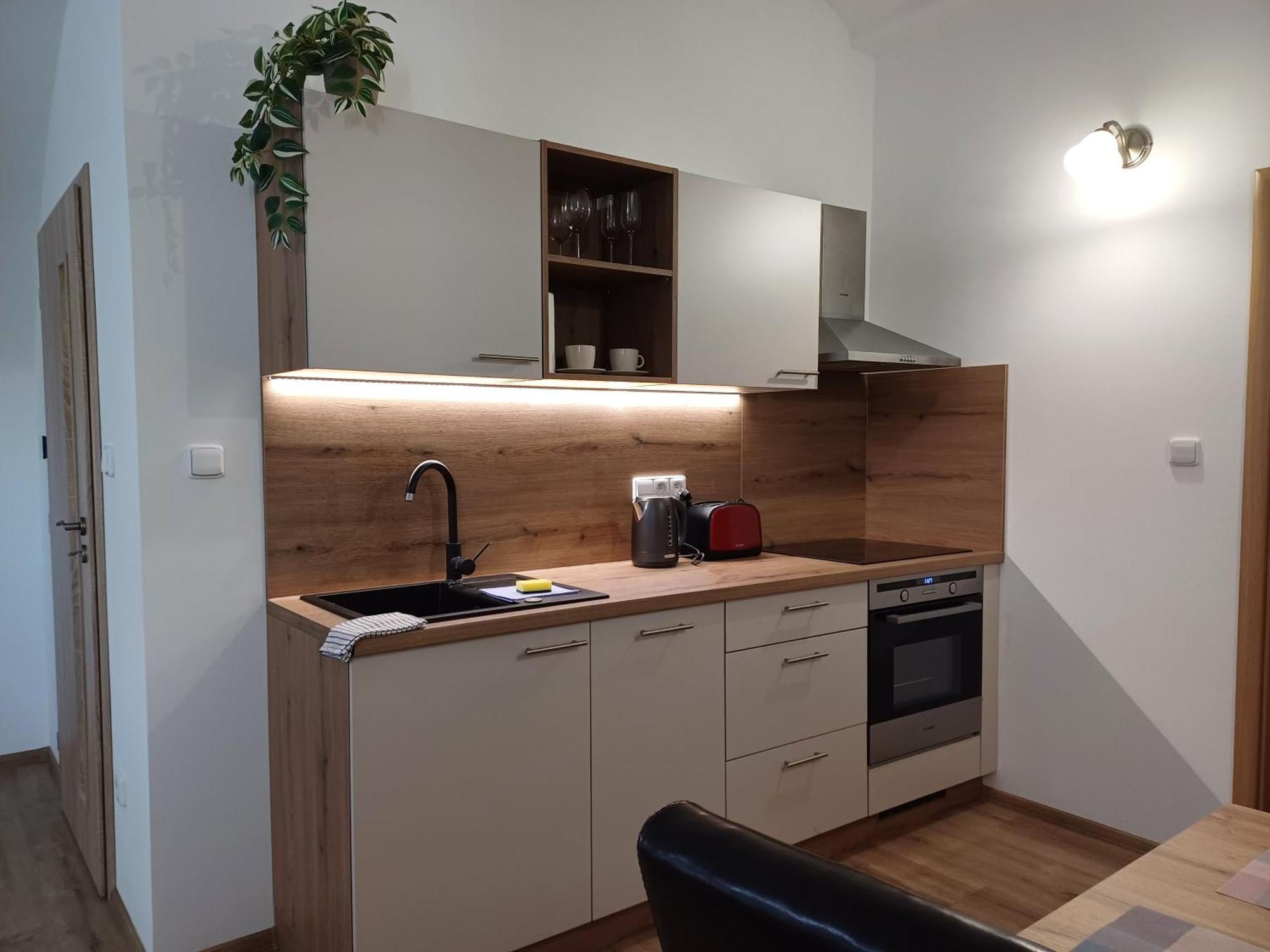 Martinuv Dvur Apartment Plzen Bagian luar foto